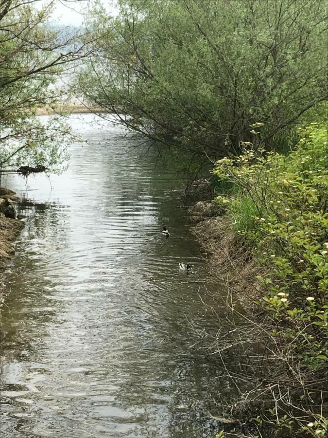 זיקירכן אם ואלרזי Pp-Camping Wallersee מראה חיצוני תמונה