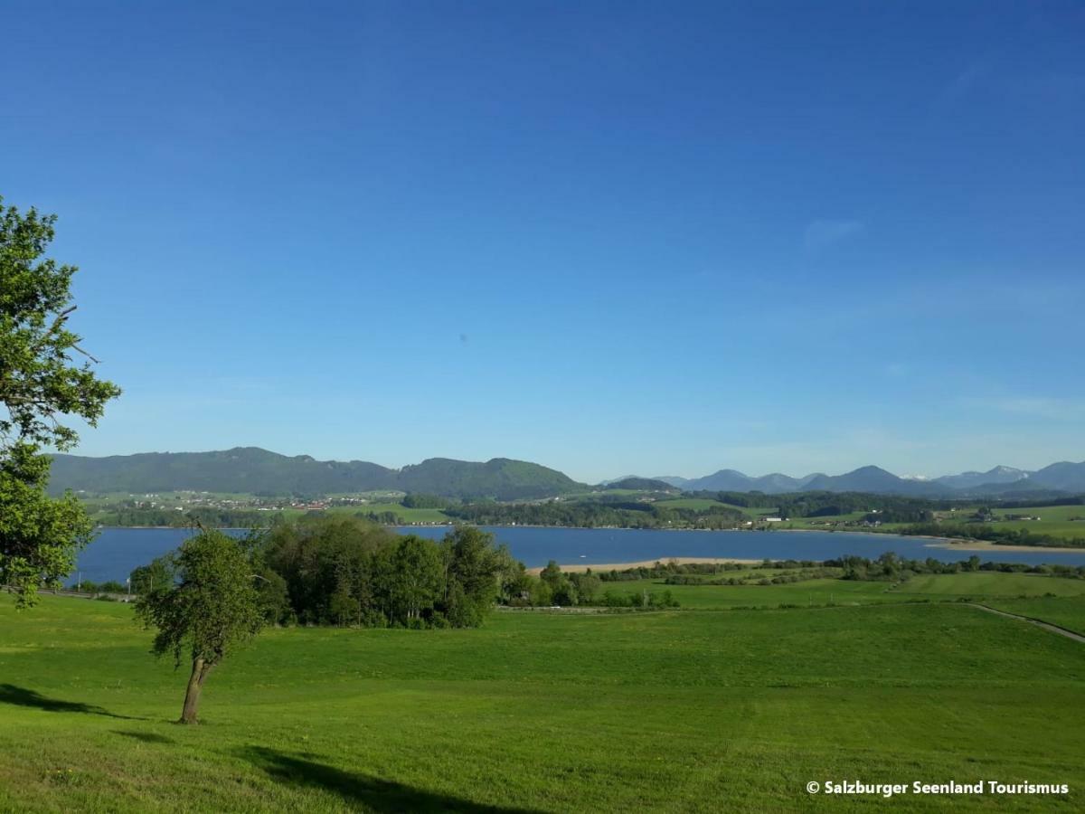 זיקירכן אם ואלרזי Pp-Camping Wallersee מראה חיצוני תמונה